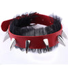 Deviless Claw Choker Necklace