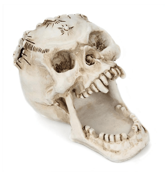 Regin Resin Skull Holder